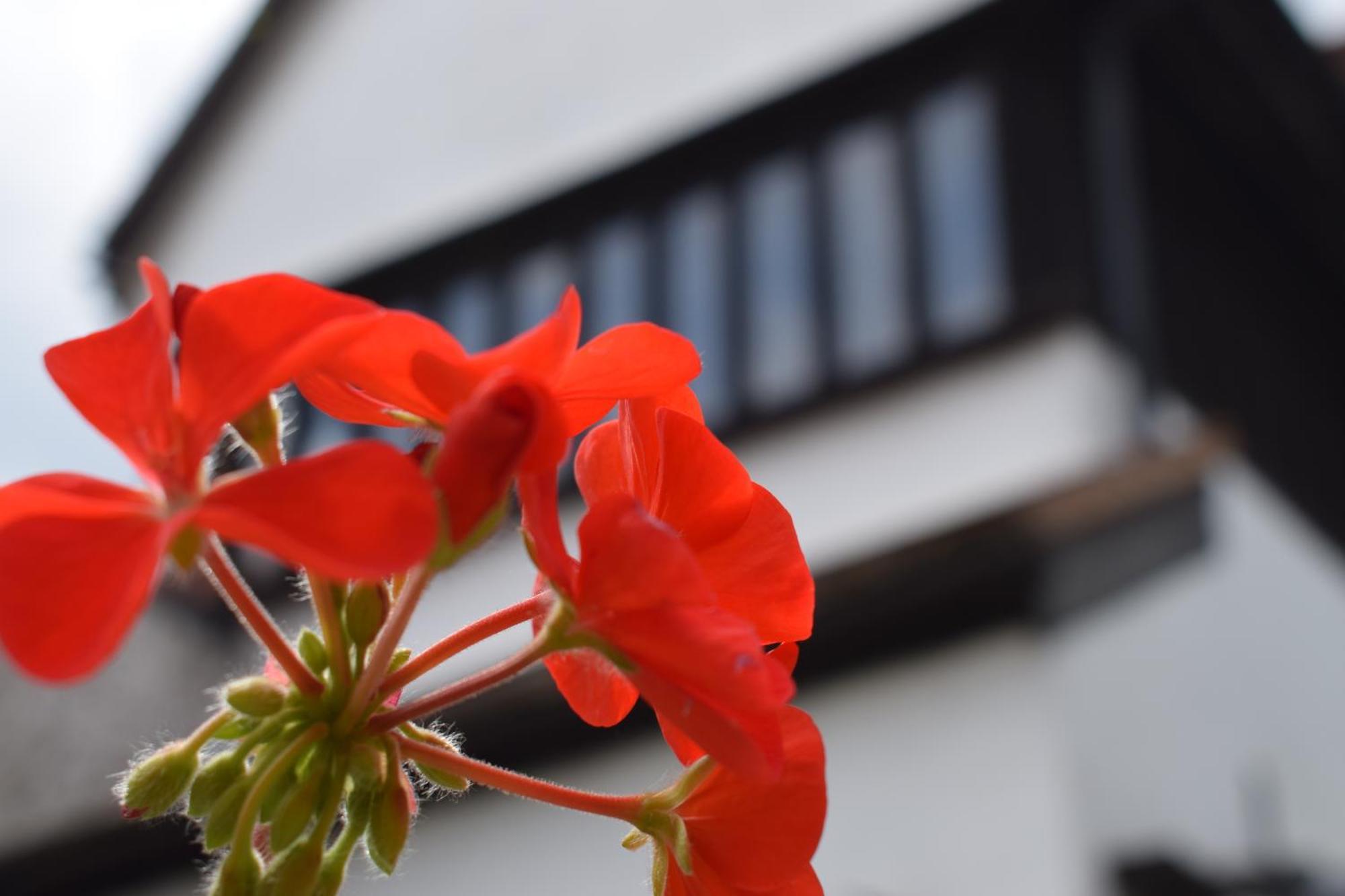 Alma Inn & Dining Rooms Harwich Εξωτερικό φωτογραφία